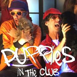 Puppies in the Club
