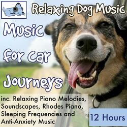 Resting Frequency Dog Music to Stop Whining