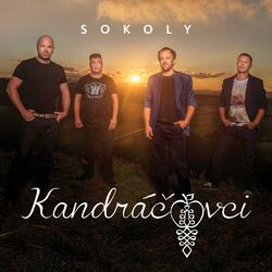 Sokoly