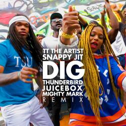 Dig (Thunderbird Juicebox & Mighty Mark Remix)