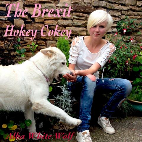 The Brexit Hokey Cokey
