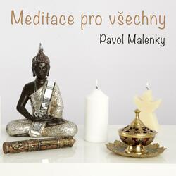 Meditace Pro Vsechny (Vedena Meditace Pro Zacatecniky I Pokrocile) [feat. Michal Kubík]