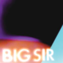 (I Asked Them) the Questions (Bonus Track)