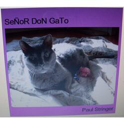 Señor Don Gato