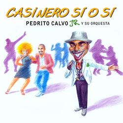 Casinero Sí O Sí