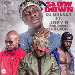 Slow Down (feat. D-Black, Joey B & King Promise)