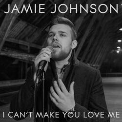 I Can't Make You Love Me