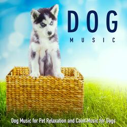 Separation Anxiety Music for Dogs
