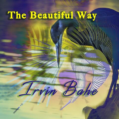 Irvin Bahe