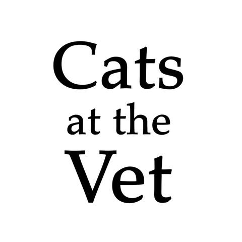 Cats at the Vet