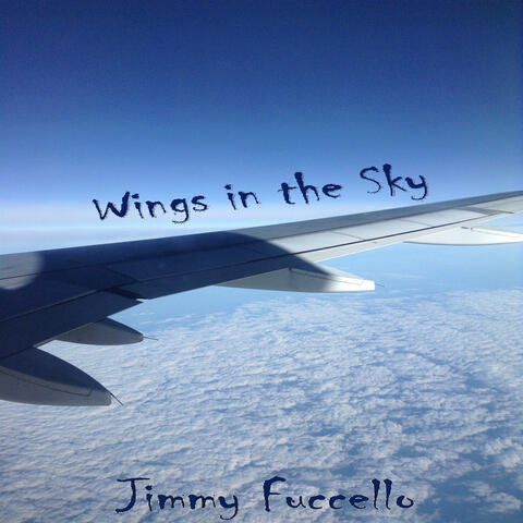 Wings in the Sky