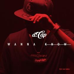 Wanna Know (Remix) [feat. RnB Sanga]