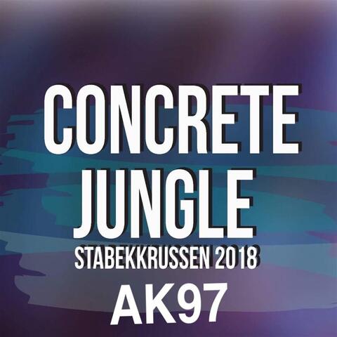 Concrete Jungle - Stabekkrussen 2018