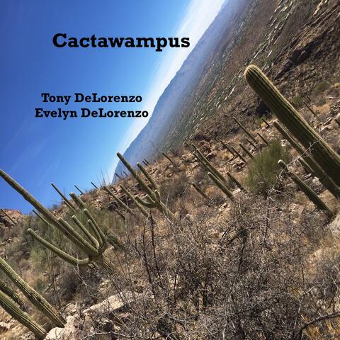 Cactawampus