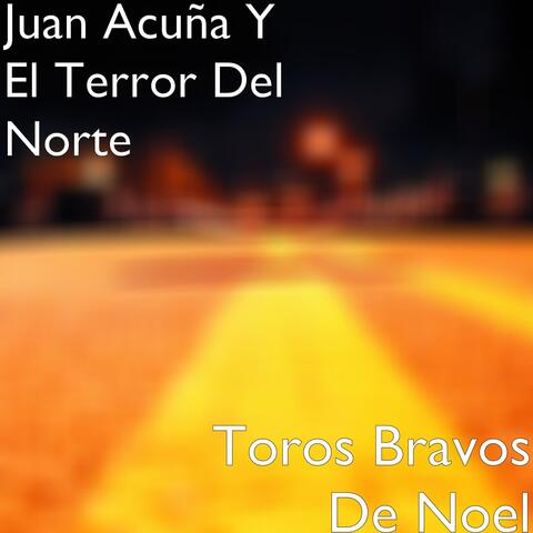 Toros Bravos De Noel