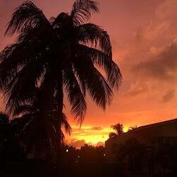 Withdrawals