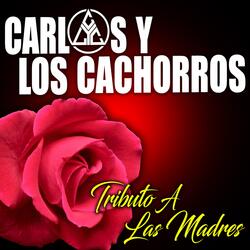 Tributo a las Madres