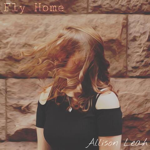Fly Home