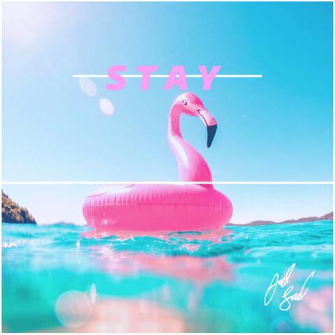 Stay