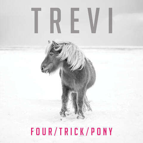 Four Trick Pony
