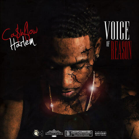 Voice of Reason