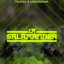 La Salamandra