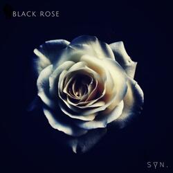 Black Rose.
