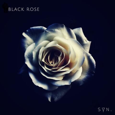 Black Rose.