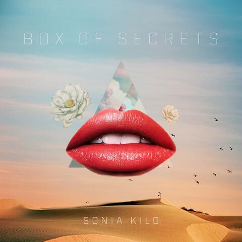 Box of Secrets