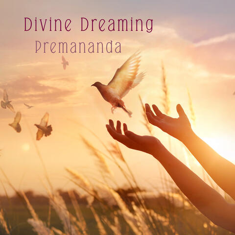 Divine Dreaming