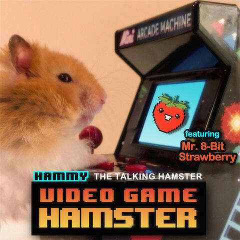 Video Game Hamster