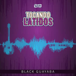 Tocando Latidos