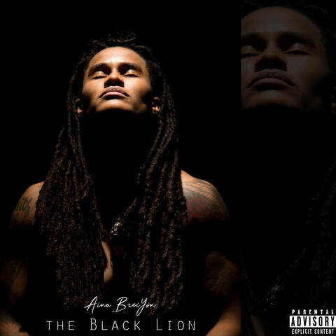 The Black Lion