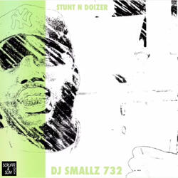 Stunt n Doizer