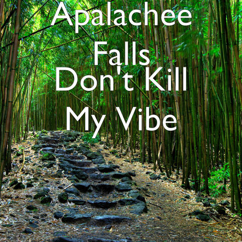 Don't Kill My Vibe