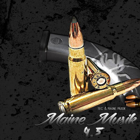 Maine Musik 4.5