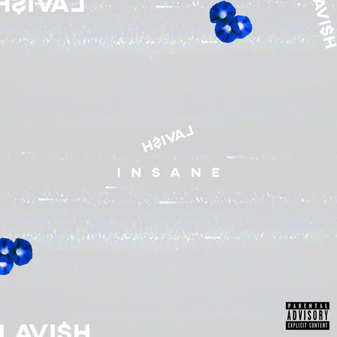 Insane