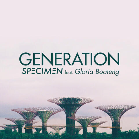 Generation