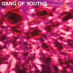 Fear and Trembling (Mtv Unplugged Live in Melbourne)