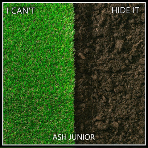 I Can't Hide It