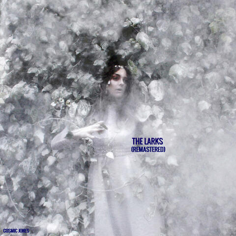The Larks (Remastered)