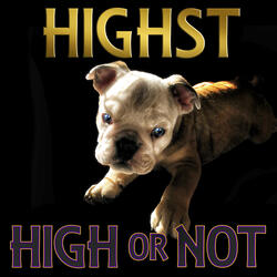 High or Not