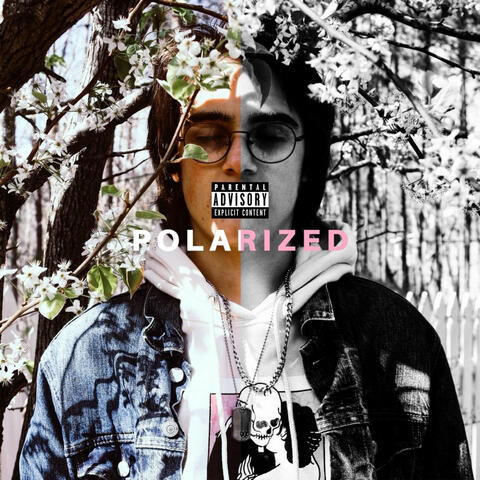 Polarized