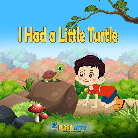 I Had a Little Turtle