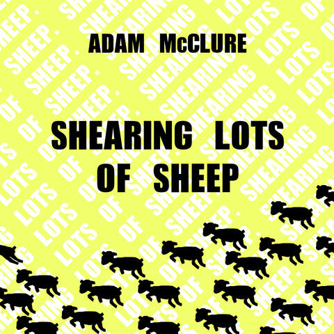 Shearing Lots of Sheep