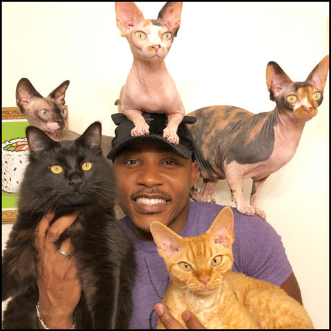 Cats on My Mind