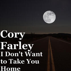 I Don't Want to Take You Home