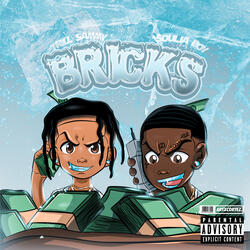 Bricks