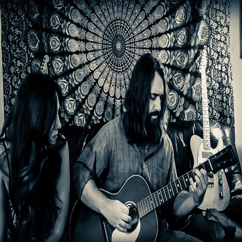 Needle and the Damage Done (Live in a Living Room)