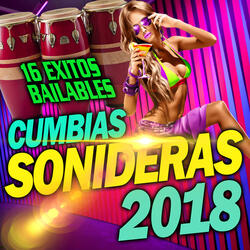 Me Enamore de una Sonidera